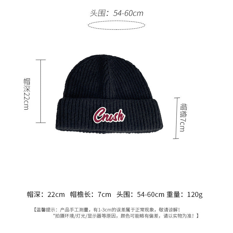Winter letter labeling wool hat women's autumn and winter versatile warm Japanese knitted hat showing small face and ear protection cold hat man